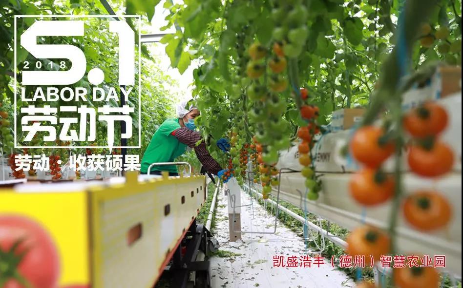 UED官方(中国区)唯一官方网站