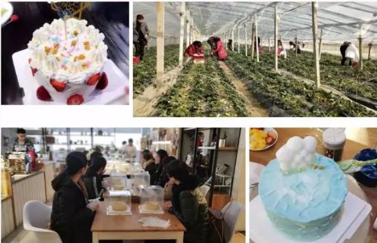 UED官方(中国区)唯一官方网站