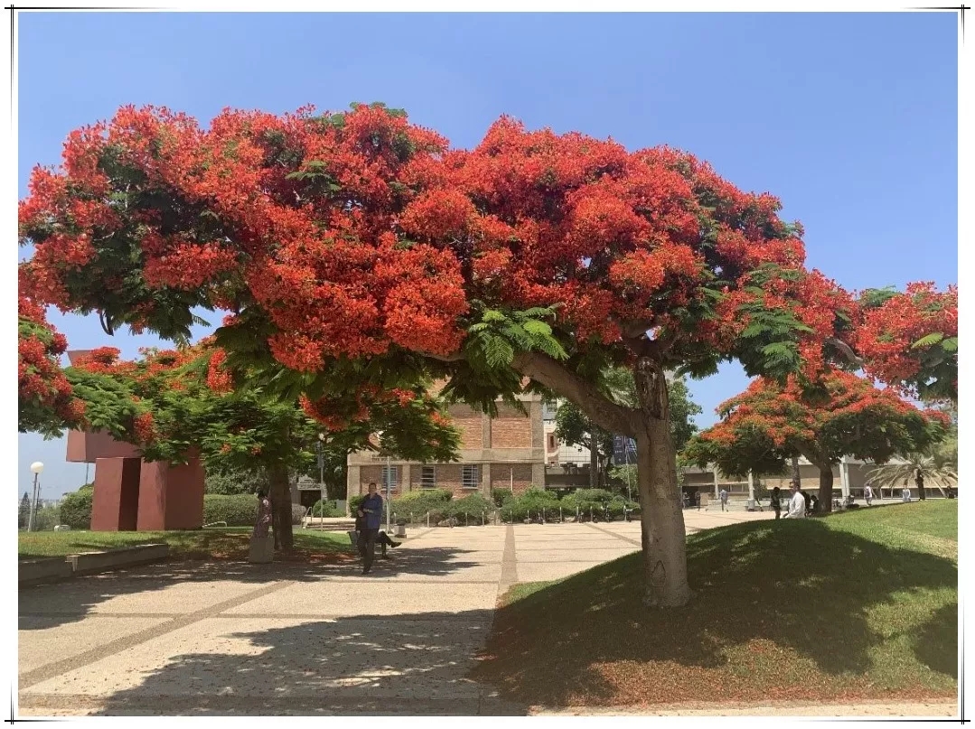 UED官方(中国区)唯一官方网站