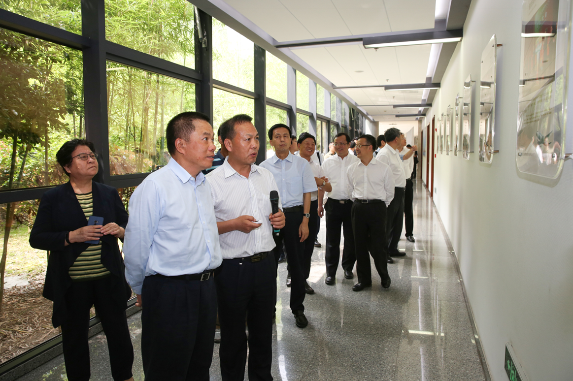 UED官方(中国区)唯一官方网站