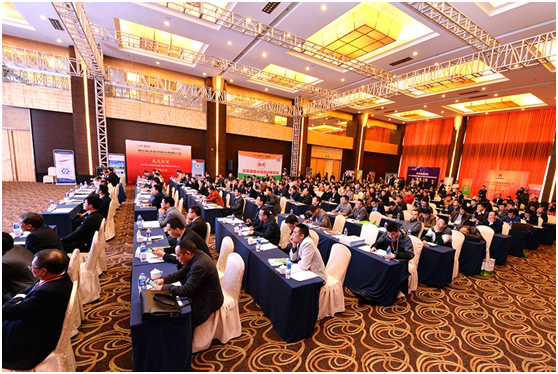 UED官方(中国区)唯一官方网站