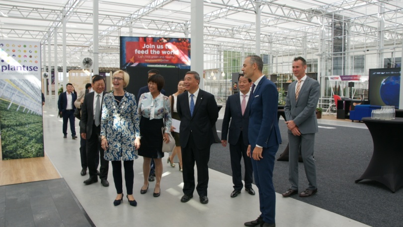 UED官方(中国区)唯一官方网站