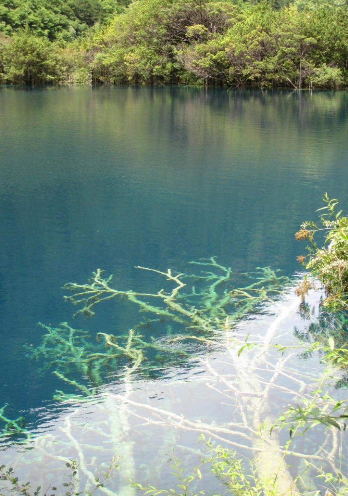 UED官方(中国区)唯一官方网站