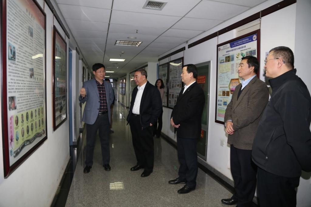 UED官方(中国区)唯一官方网站