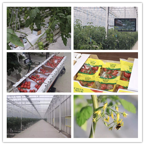 UED官方(中国区)唯一官方网站