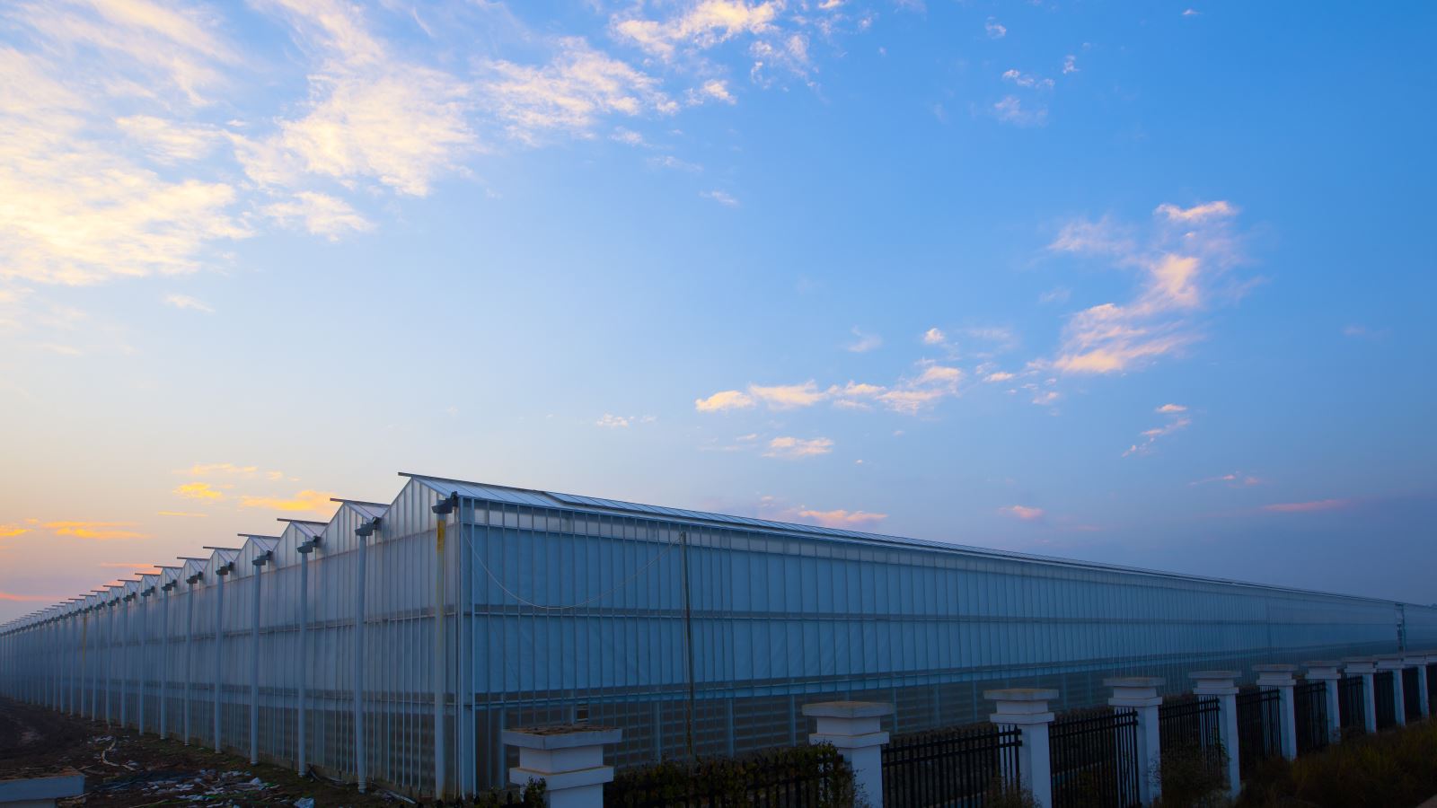 UED官方(中国区)唯一官方网站