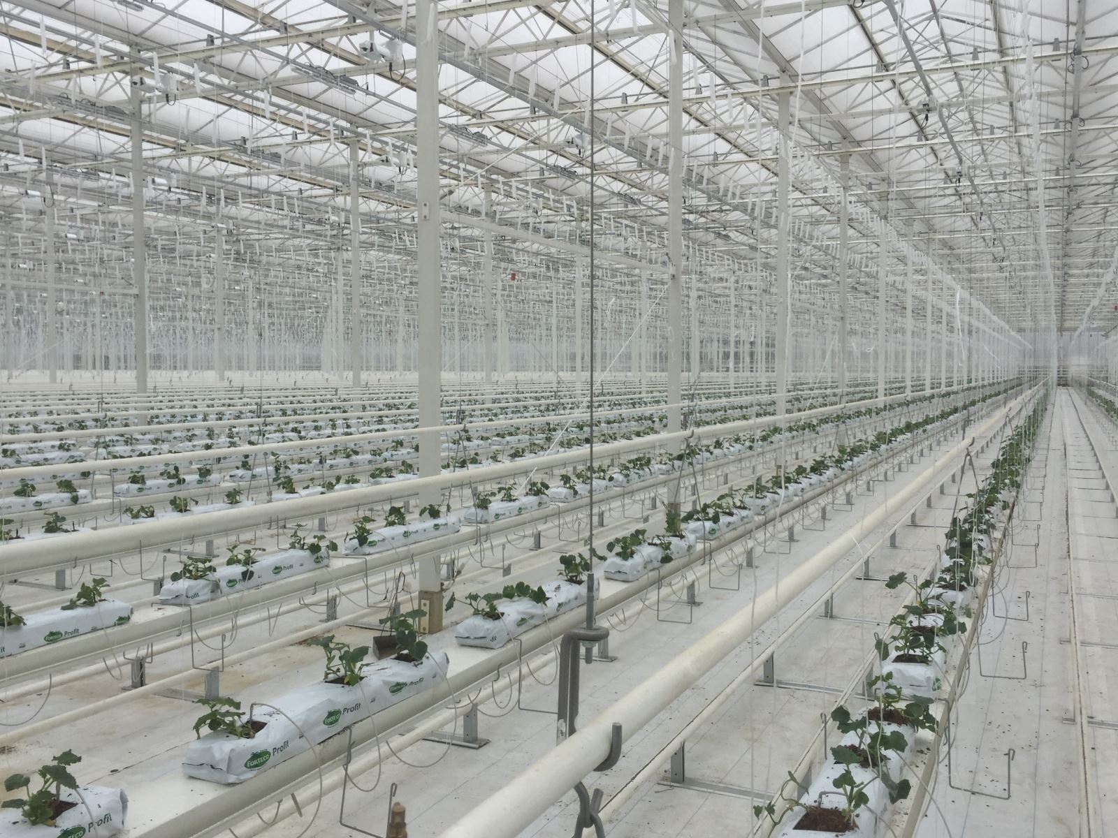 UED官方(中国区)唯一官方网站