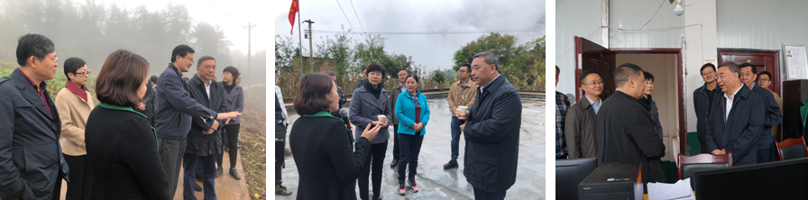 UED官方(中国区)唯一官方网站