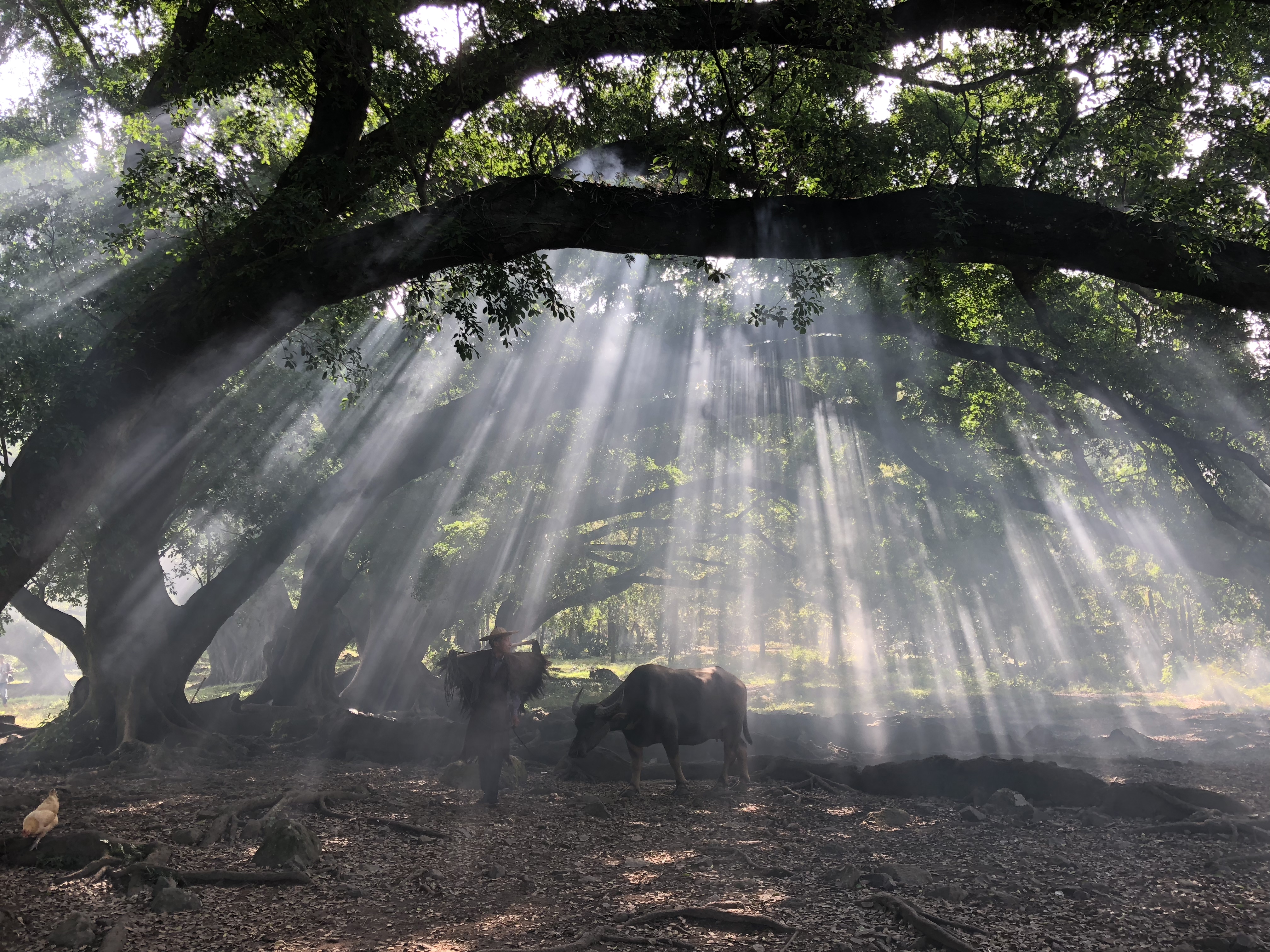 UED官方(中国区)唯一官方网站