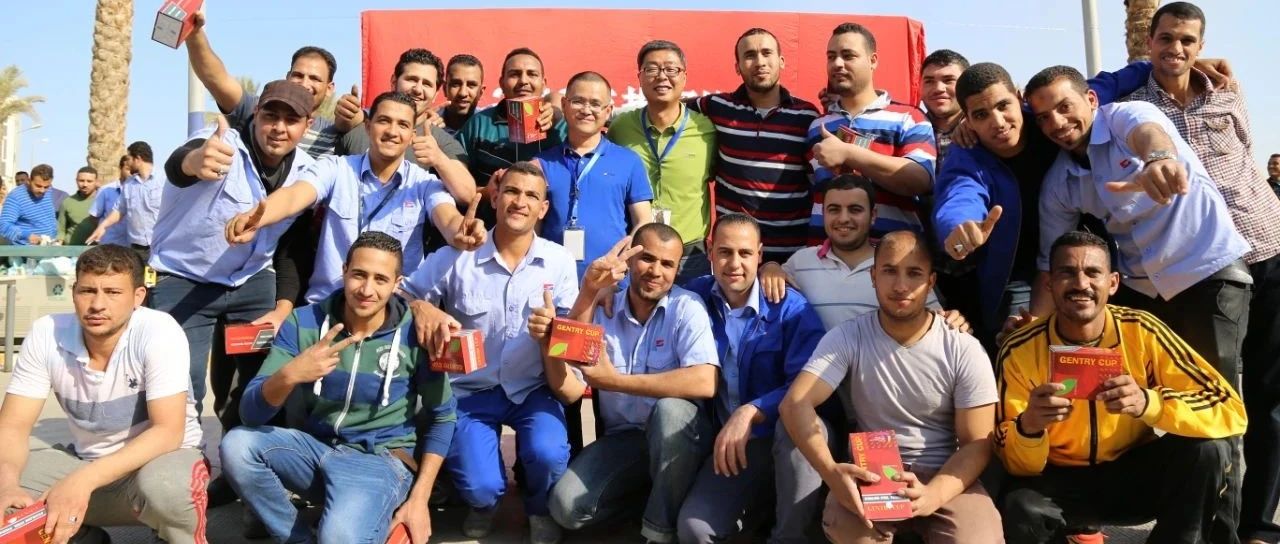 “善用资源日”境外预热 | 巨石埃及公司“云开放” ，，，，，，，，带你看“一带一起”璀璨明珠