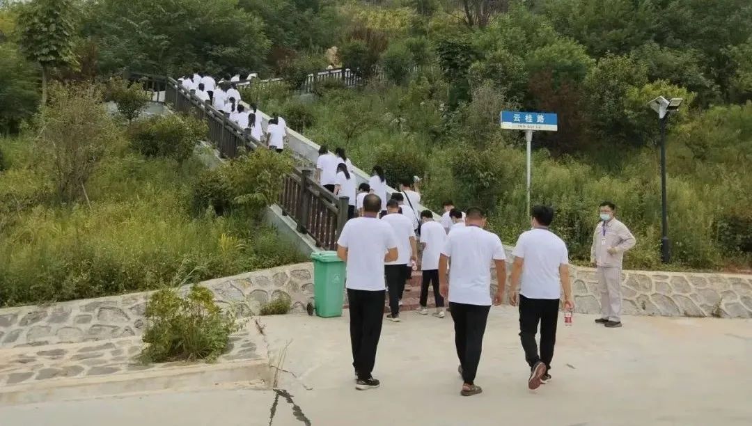 UED官方(中国区)唯一官方网站